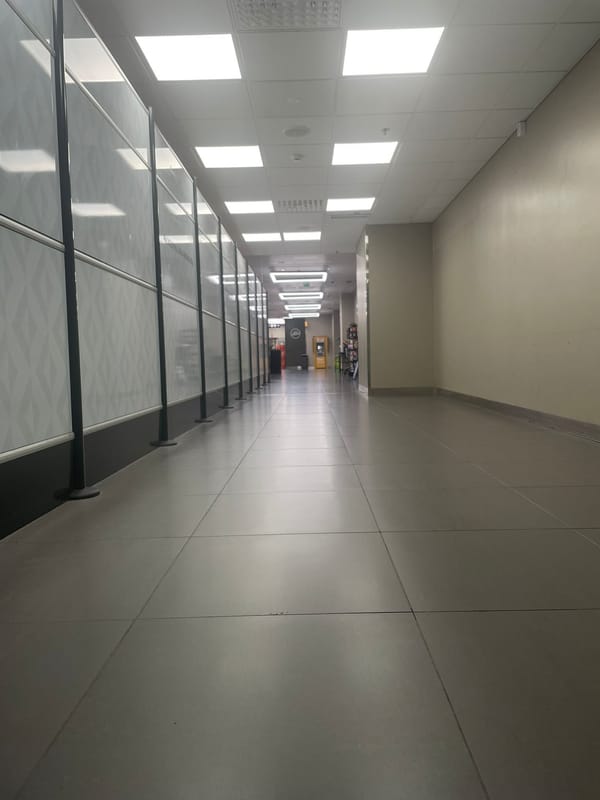 Nordic Globe siivous